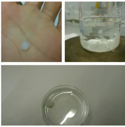 Fig. 14Alginate scaffold 