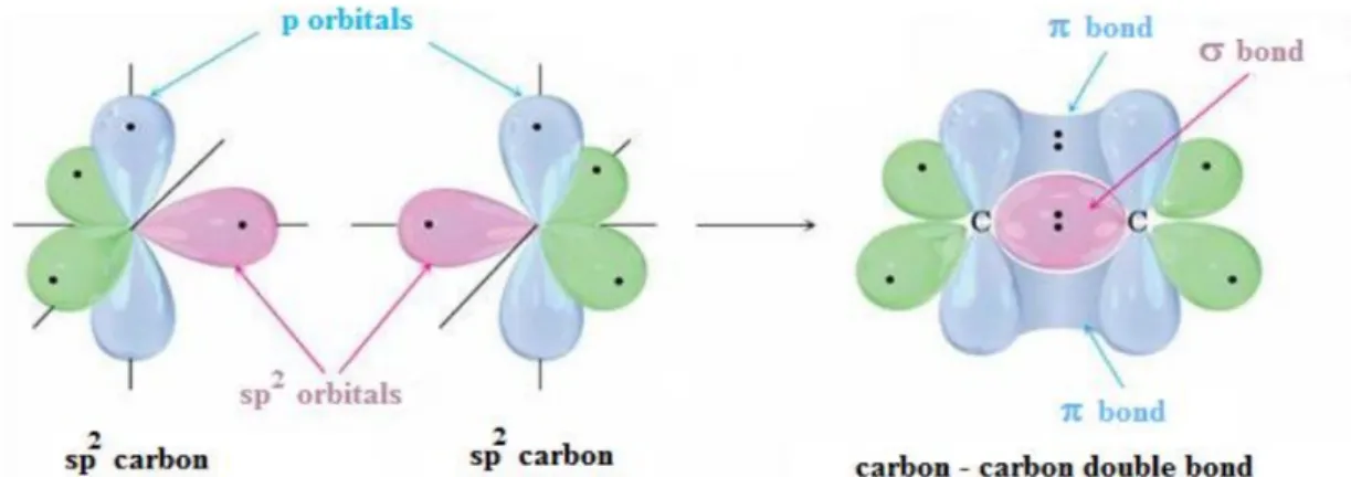 Figure 1.6: formation of carbon-carbon double bound π and σ. 