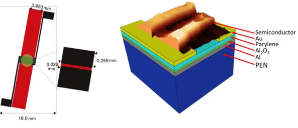 Figure 3.1: (a) top view of typical TFT used in these experiments. (b) The cross section of the TFT shows the  amount and types of different layers used