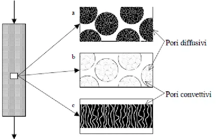 Figura 2.13: Schema relativo ai diversi tipi di trasporto nella cromatografia di affinità: con particella diffusive (a),  con particelle perfusive (b), con membrane microporose (c) [52]