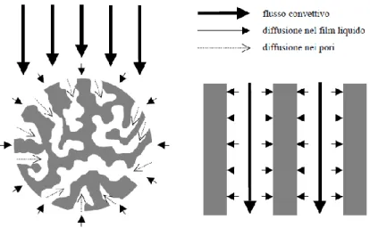 Figura 2.14: Confronto fra le tipologie di trasporto in cromatografia convenzionale (a sinistra) e in cromatografia  con membrane (a destra) [52]