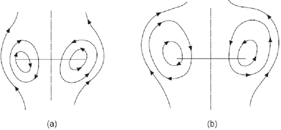 Fig. 2.2.1: linee di circolazione dei vortici ad anello nella discesa verticale. 