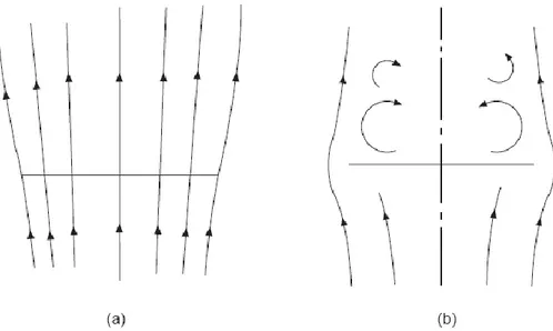 Fig. 2.2.2: (a) stato di mulinello frenante; (b) stato di flusso turbolento 