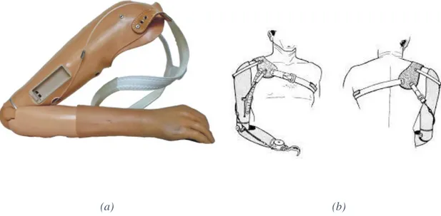 Figura 1.4: Protesi cinematica di arto superiore (a) e un possibile bretellaggio per una protesi  cinematica (b) 