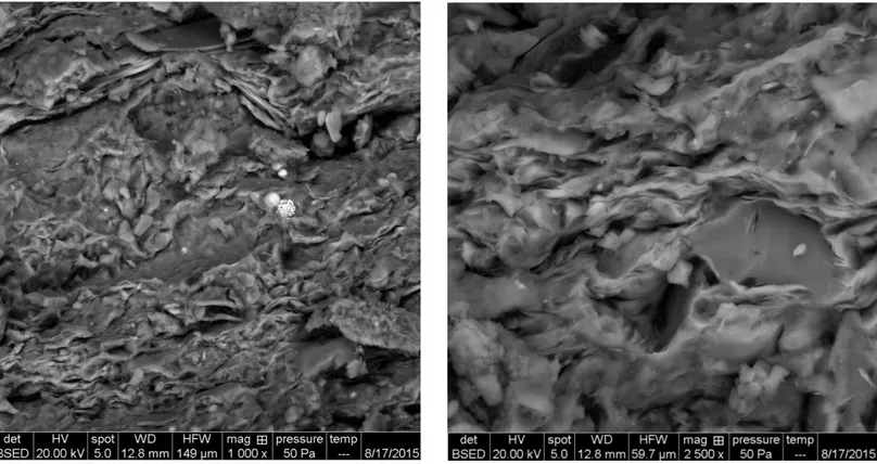Fig. 27: facies 3a seen under the SEM in well 100/02-30-039-07W5/00. Picture 27a shows the large-scale aspect 