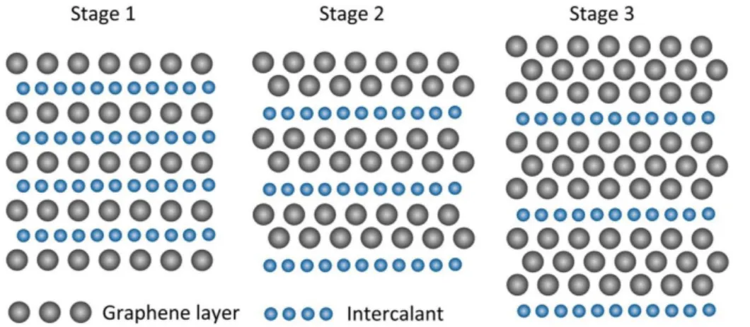 Figura 2.2: Rappresentazione di sezioni di GIC, con diversi indici di staging [43].