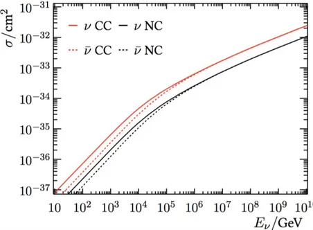 Figure 1.2 shows the energy dependence of the neutrino cross section for CC and NC interactions.