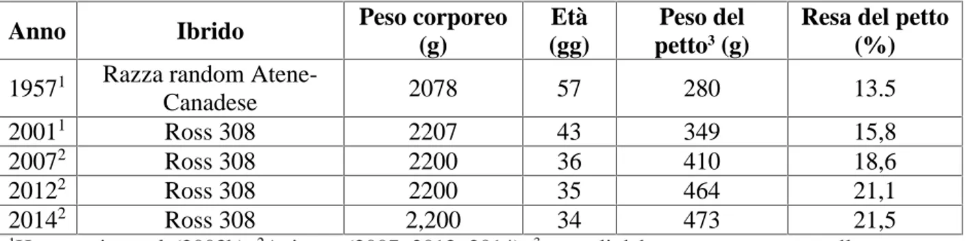 Tabella 2.2. Progresso del peso e resa di petto da 1957 a 2012 in ibridi di broilers commerciali