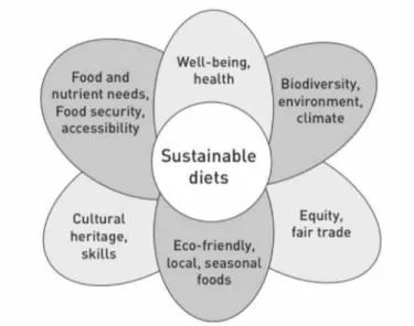 Figura 1.2: Punti cardine del consumo sostenibile