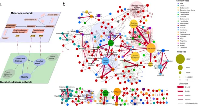 Figure 1.4: Example of the method used to build the disease network a) and disease network b) obtained by Lee et al