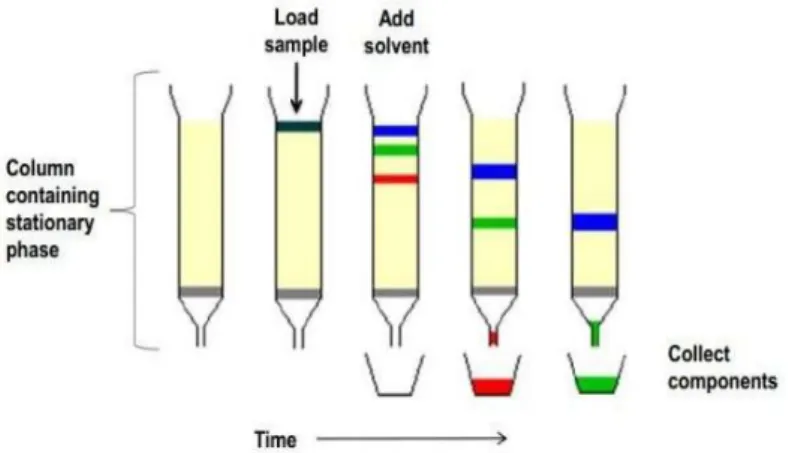 Figure 2.2: Schematic representation of the column chromatography.