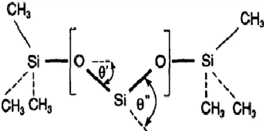 FIG. 12 – Rappresentazione schematica degli angoli di legame nella molecola di  polidimetilsilossano, ove le linee continue marcate rappresentano il componente dei momenti 