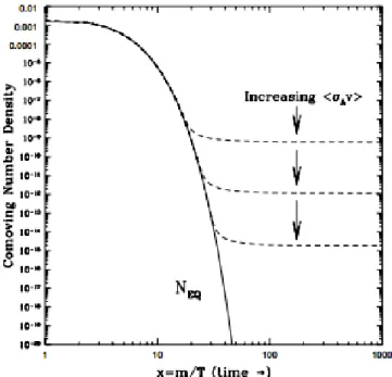 Figura 2.1.1. Evoluzione della densit`a in funzione del rapporto m/T , in approssimazione di simmetria fra densit`a di particelle e antiparticelle.