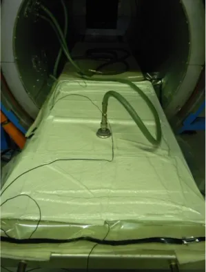 Fig. 33: Inserimento nell'autoclave 