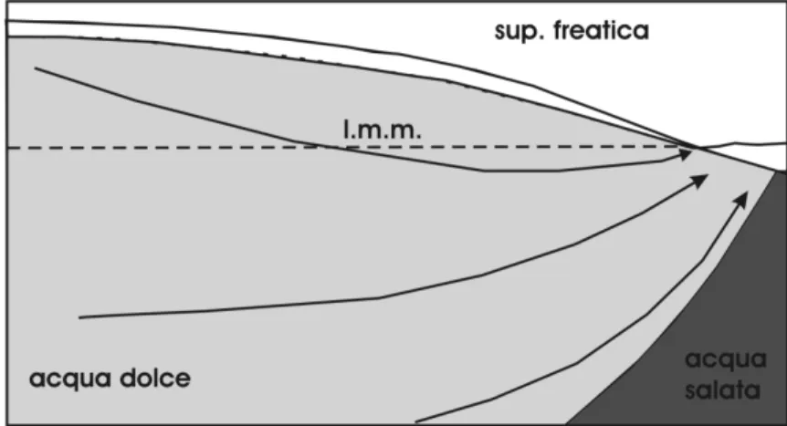 Figura 2. Posizione dell'interfaccia acqua dolce/salata in condizioni di equilibrio 