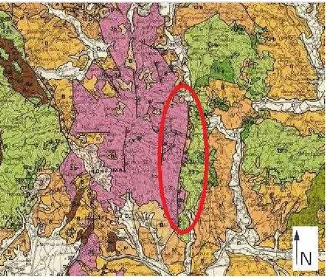 Fig. 3.2 – Estratto della carta strutturale dell’Appennino Settentrionale (da CNR)  con  la  direttrice  Rosia-Monticiano-Roccastrada-Montepescali  evidenziata  La  legenda è riportata in Fig.3.1