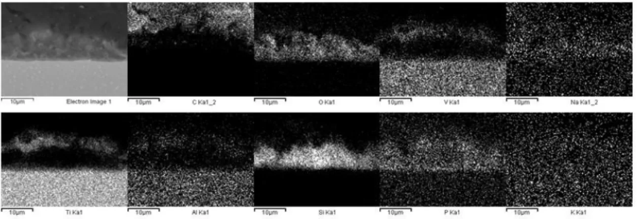 Figura 4.16 Mappa EDS X-ray di distribuzione degli elementi di un rivestimento PEO  su Ti-6Al-4V  (sezione trasversale).