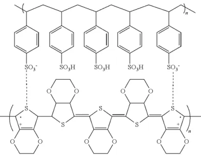 Figura 1.4. Il polielettrolita complesso PEDOT:PSS formato dall’interazione coulombiana tra le lacune del PEDOT e le cariche negative scoperte del PSS.