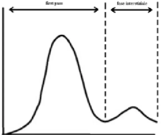Figura 12:  Grafico di una curva tempo concentrazione con indicate dalla fase di  first pass a quella intestiziale 