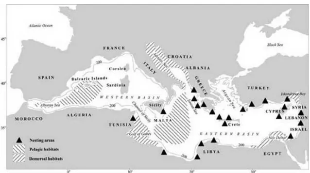 Fig.  7  Map  of  the  Mediterranean  region  showing  approximate  locations  of  nesting  areas  and  of  known  oceanic  and  neritic  habitats