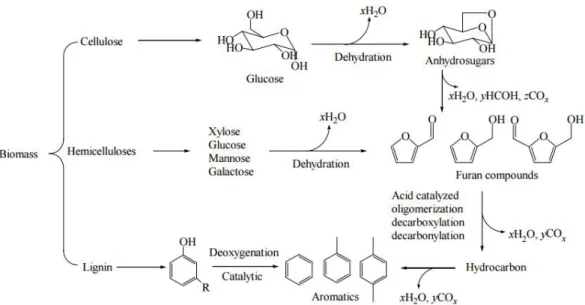 Figura 1.18 Esempio delle reazioni che intervengono sulle biomasse lognocellulosiche, a carico del  catalizzatore (Tan et al
