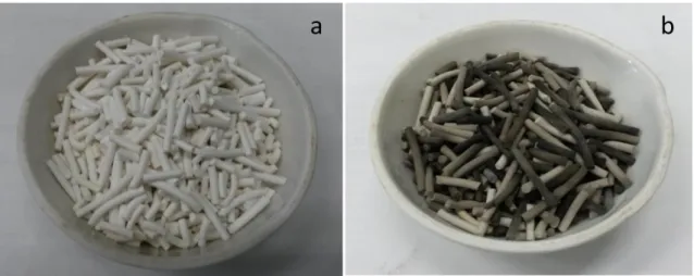 Figura 3.4 H-ZSM5 pellet (a) dopo la calcinazione e (b) dopo un ciclo di pirolisi con deposizione di coke  sulla superficie 