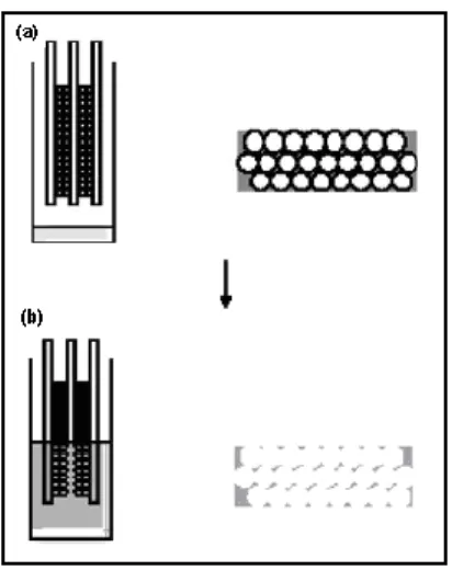 Figura 8 Schema di ottenimento di membrane polimeriche nanoporose (a) infiltrazione del  monomero e polimerizzazione tra i cristalli colloidali (b) attacco acido alle particelle di SiO 2  dopo 