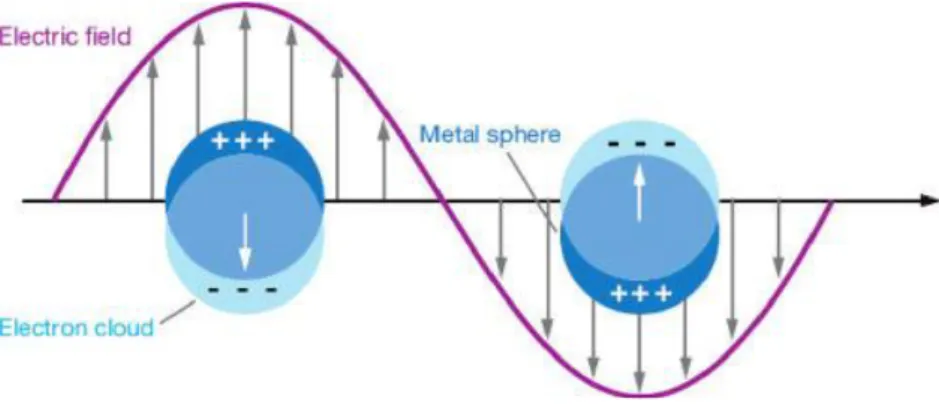 Figura 6- Rappresentazione dell’interazione tra il campo elettrico della radiazione luminosa e gli  elettroni liberi di valenza in nanoparticelle metalliche 