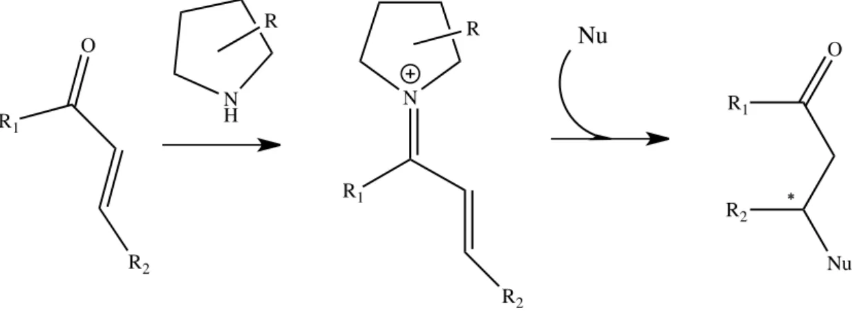 Figura 1.13 – Reazione di formazione dello ione imminio e del conseguente prodotto di addizione in β OR1NHNR1OR1∗∗R2RRR2NuR2 Nu N H NO N NO RROH2O N NO R Nu Nu -NNORNuH+H2ORNuO