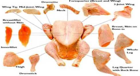 Figura 1.7 Sezionamento della carcassa intera di pollo (fonte: http://21food.com). 