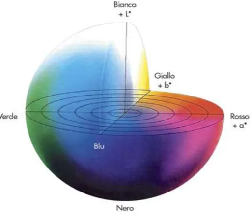 Figura 2.2: Coordinate cromatiche sistema CIE L*a*b* 