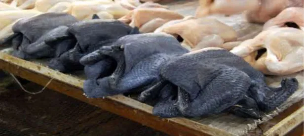 Figura 2.4: Carcasse di Moroseta in un mercato di Kuala Lampur in Asia, razza unica al mondo  grazie a due caratteristiche eccezionali che la rendono inconfondibile: pelle nera e piumaggio 