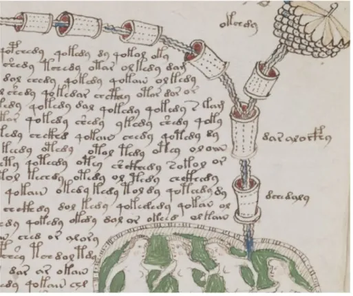 Figure 2.1: dettaglio di una pagina del manoscritto di Voynich