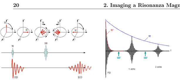 Figura 2.3: Rifasamento della magnetizzazione trasversale e produzione del segna- segna-le di eco tramite sequenza Spin-Eco (destra) e decadimento dei segnali eco ottenuti dalle diverse ripetizioni dell'impulso RF 180 ◦ (sinistra).
