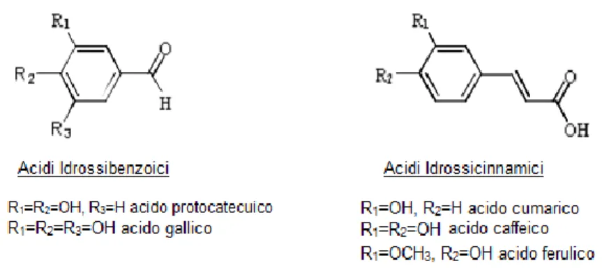 Figura 2. Strutture chimiche degli acidi fenolici più abbondanti in natura (Crisante, 2008)