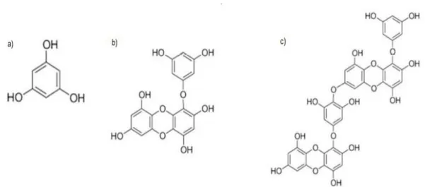 Figura 4. Struttura chimica di: a) floroglucinolo, b) eckolo e c) dieckolo.