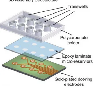 Figure 1.2: 3D assembly structure of the Bio-impedance chip [6] The electrodes were gold-plated