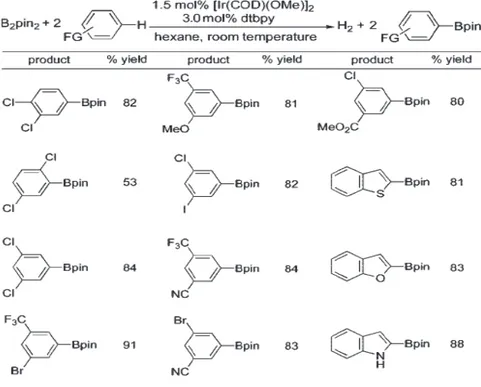 Table 1 – Arene borylation with B 2 Pin 2  catalyzed by [Ir(COD)(OMe)] 2  and dtbpy. 