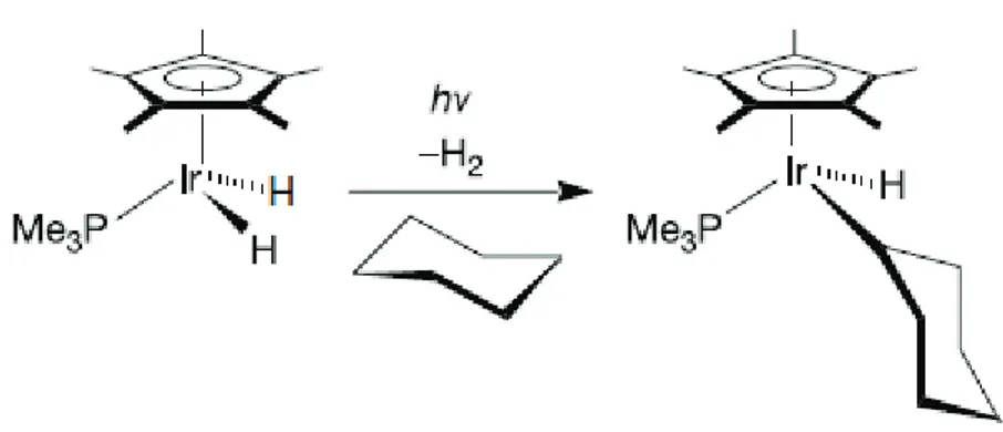 Figure 1 – Intermolecular alkane activation. 