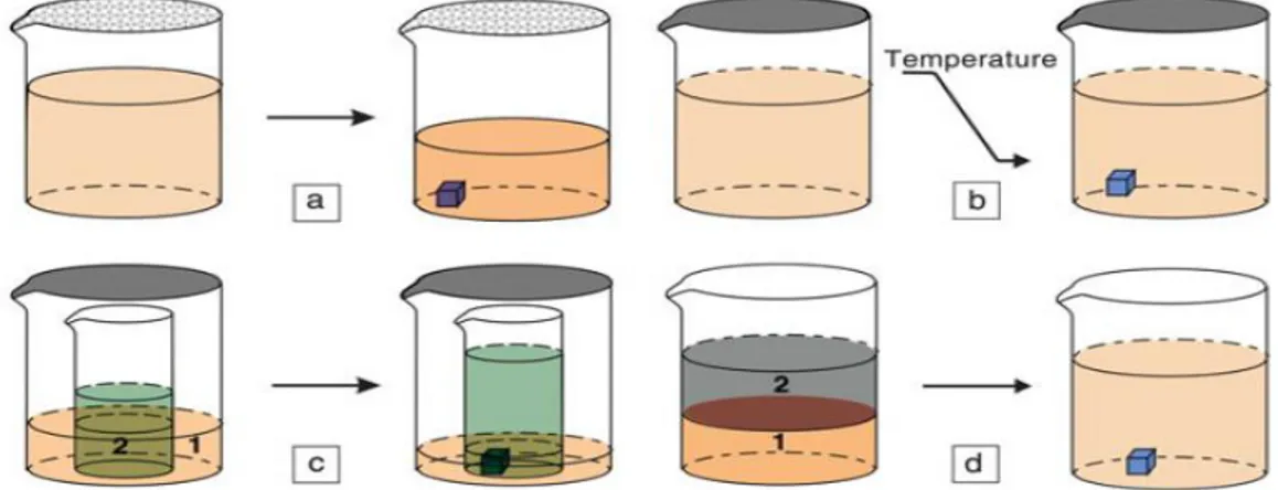 Figura 1. a) Solvent evaporation method: le molecole cristallizzano per  l’aumento della concentrazione dovuta all’evaporazione del solvente