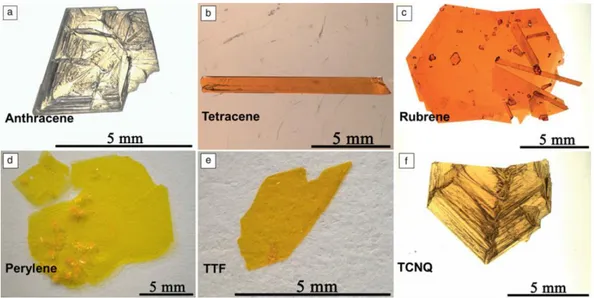 Figura 2. Vari cristalli cresciuti con PVT 