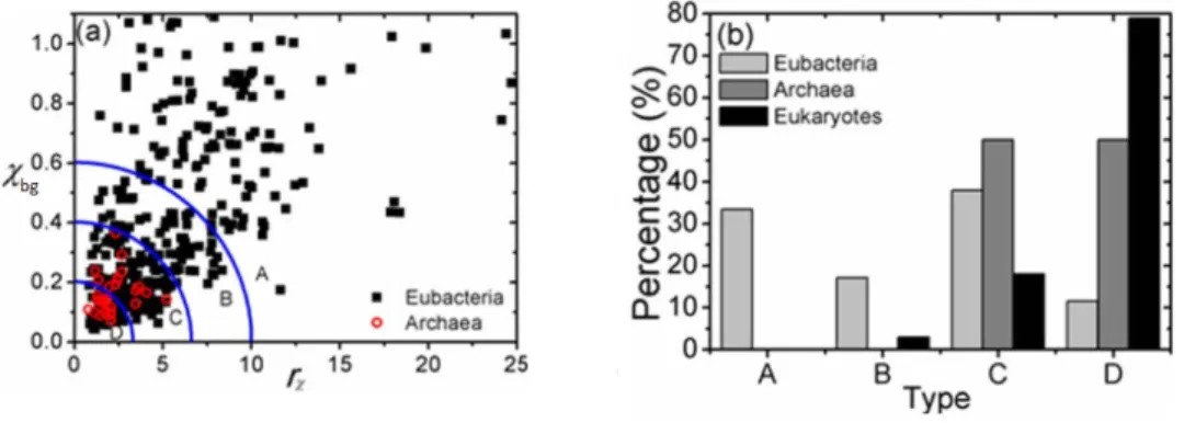 Figura 4.2: (a) Distribuzione dei cromosomi procaritici nel piano r χ χ bg .