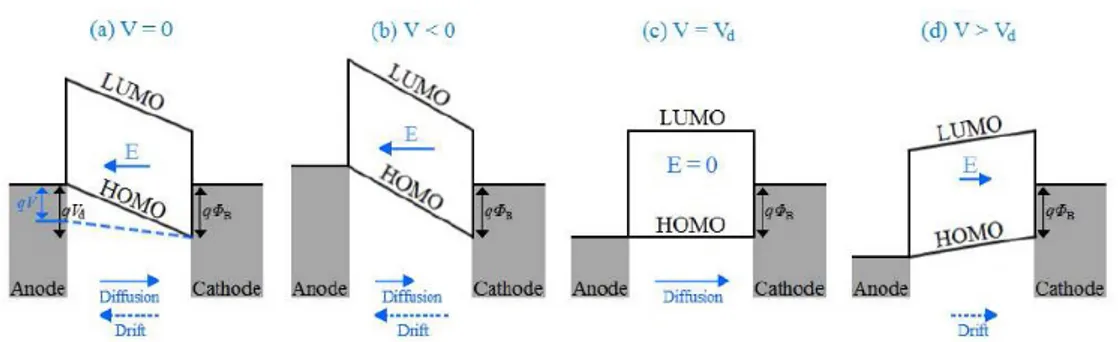Figure 1.6: Energy diagram of an organic diode with a fully depleted un- un-doped p-type semiconductor for (a) thermal equilibrium and upon applying a small positive bias smaller than the built-in voltage (dashed line), (b)  re-verse biasing, (c) forward b