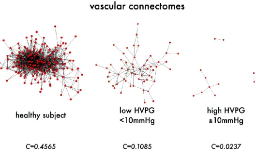 Figura 11.  Rappresentazione grafica del vascular connectome. Si può notare come,  nei soggetti sani, la rete sia ben connessa, con un elevato numero di nodi collegati tra  loro