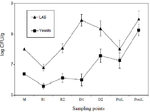 Figura 8. Evoluzione della popolazione di lieviti e LAB durante la produzione della Colomba