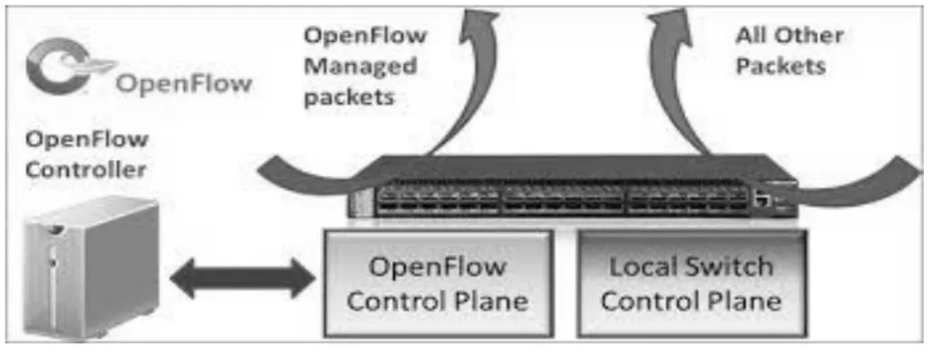 Figura 2.4 Switch abilitato Openflow