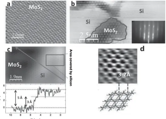 Figure 1.13: (a) Clean MoS 2 . (b) Partially covered MoS 2 after 0,8 ML Si deposition and relative RHEED pattern (inset)