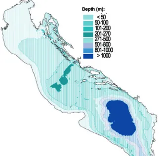 Figura 9: Batimetria del Mare Adriatico (Piccinetti et al., 2012) 