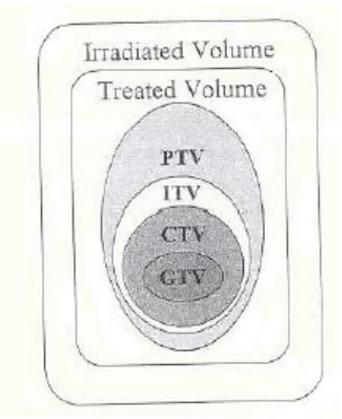 Figura  3  Rappresentazione  schematica  rappresentante  i  tipi  di  volume  utilizzati  nella  pianificazione  tridimensionale del trattamento, come è stata definita dall’  International Commission on Radiation Units and  Measurements