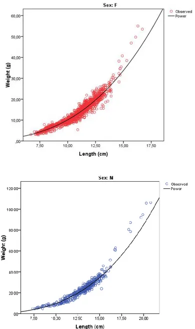 Fig.  3.7:  Spicara  smaris:  Regression  curves  for  length-weight  relationship  estimation:                        W=0.0076TL 3.1377  for females (above) and W=0.0063TL 3.1886  for males (below) calculated by BM SPSS 